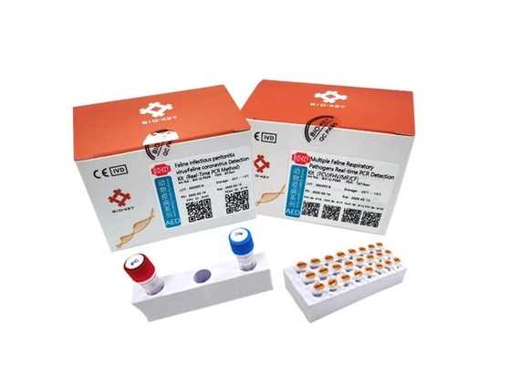 RT QPCR الماكر اختبار التهاب الصفاق المعدية Taq DNA Feline Coronavirus Test Kit