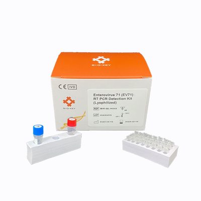 RT PCR Enterovirus 71 Rapid Test Kit مجموعة أدوات الكشف عن الحمض النووي المجففة بالتبريد