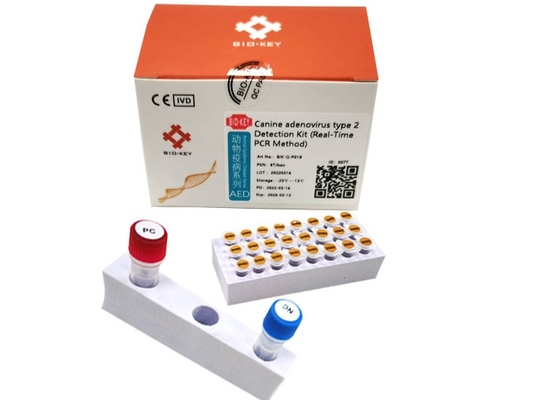ISO13485 للكلاب Adenovirus اختبار Pcr من النوع الثاني Taq Ploymerase Dog DNA Test Kit