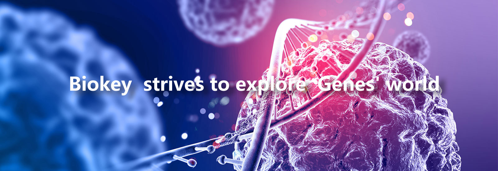 جودة RT qPCR آلة مصنع