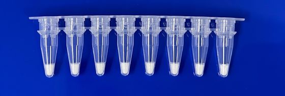 مجموعة الكشف عن PCR في الوقت الفعلي لكون الخنزير في عينة الغذاء