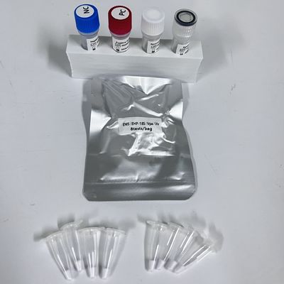 أنسجة الجمبري Vpa Vibrio Parahaemolyticus مجموعة الكشف عن PCR في الوقت الحقيقي