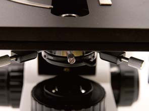 المجهر البيولوجي المستقيم B70 مع اللوحة المدورة