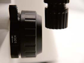 المجهر البيولوجي المستقيم B70 مع اللوحة المدورة