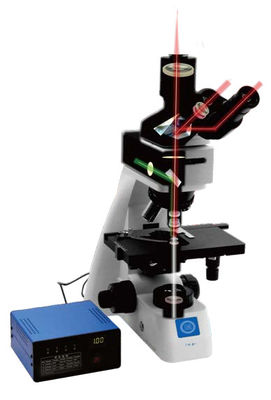 المجهر البيولوجي المستقيم B70 مع اللوحة المدورة