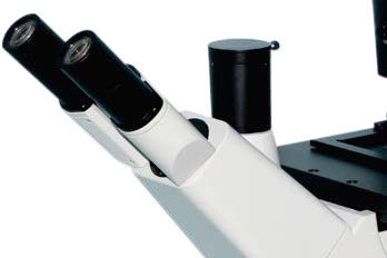 المجهر البيولوجي المعاكس لـ 5 أماكن في الأنف B50i