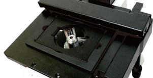 المجهر البيولوجي المعاكس لـ 5 أماكن في الأنف B50i