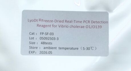 LyoDt® Reagent للكشف عن PCR في الوقت الحقيقي لـ Vibrio cholerae O1/O139 - لا يلزم استخدام سلسلة البرد ويتم إعطاء اختبار واحد مسبقًا
