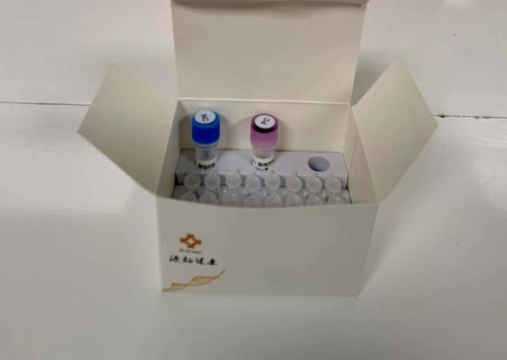 مجموعة تشخيص PCR الكمية الفلورسنتية الكشف الجزيئي عن مسببات الأمراض المائية 48 اختبار/مجموعة تشخيص